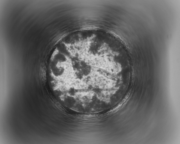 X0000095961401200802081308