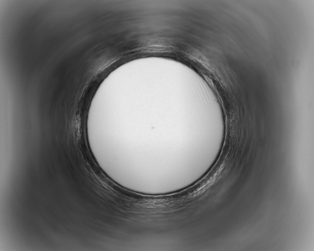 X0000095961402200802081308