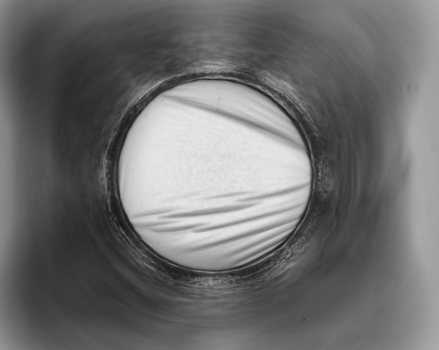 X0000095961404200802081308