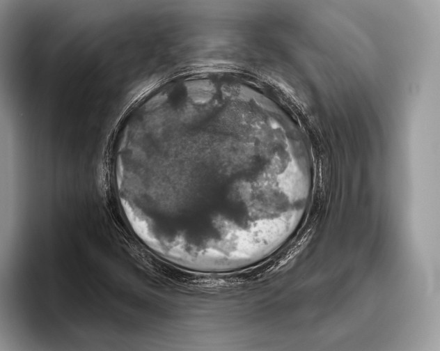 X0000095961405200802081308