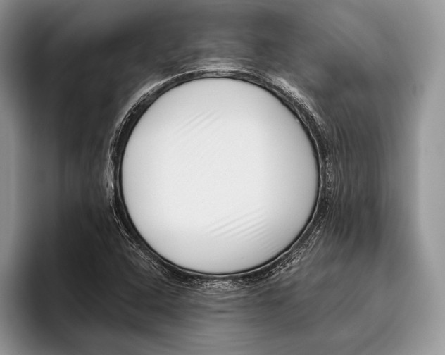 X0000095961408200802081308