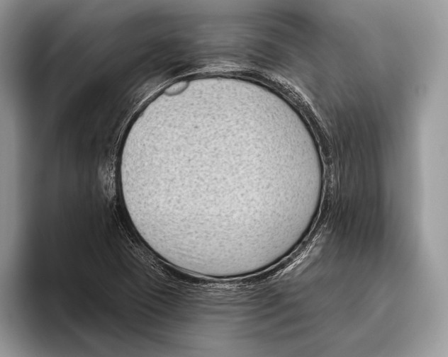 X0000095961409200802081308