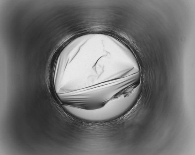 X0000095961410200802081308