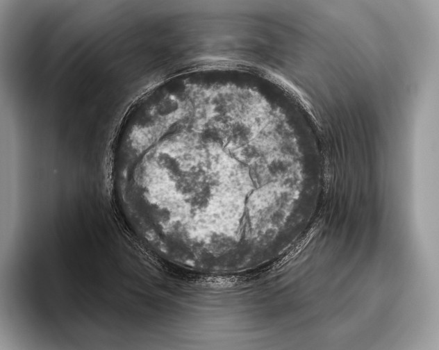 X0000095961411200802081308