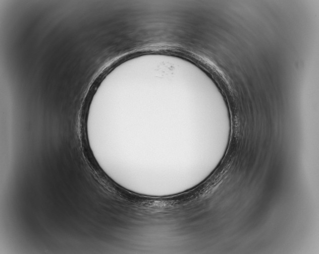 X0000095961412200802081308