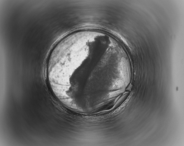 X0000095961413200802081308