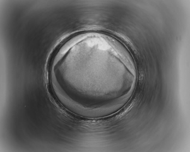 X0000095961414200802081308