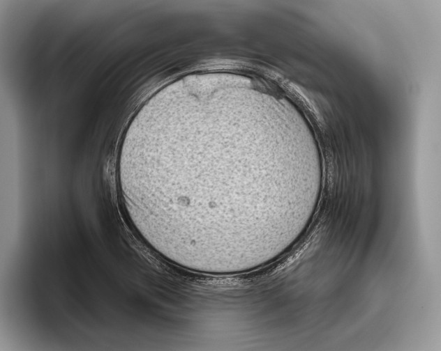 X0000095961417200802081308