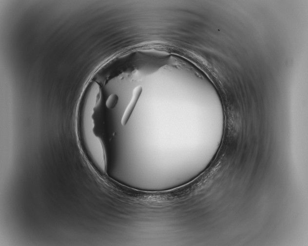 X0000095961418200802081308