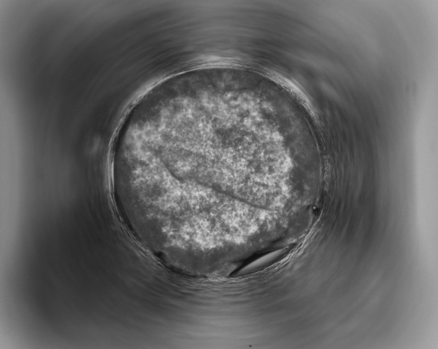 X0000095961419200802081308