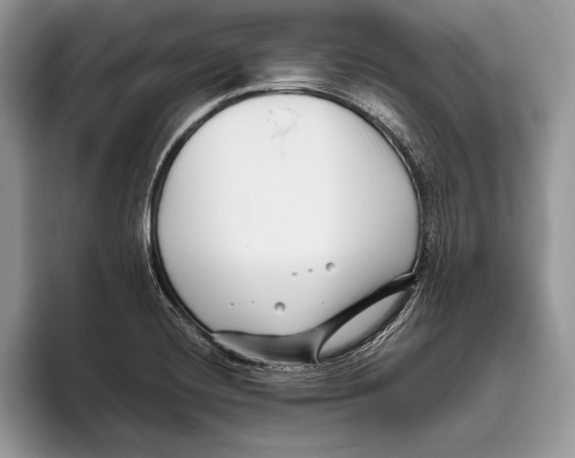 X0000095961420200802081308