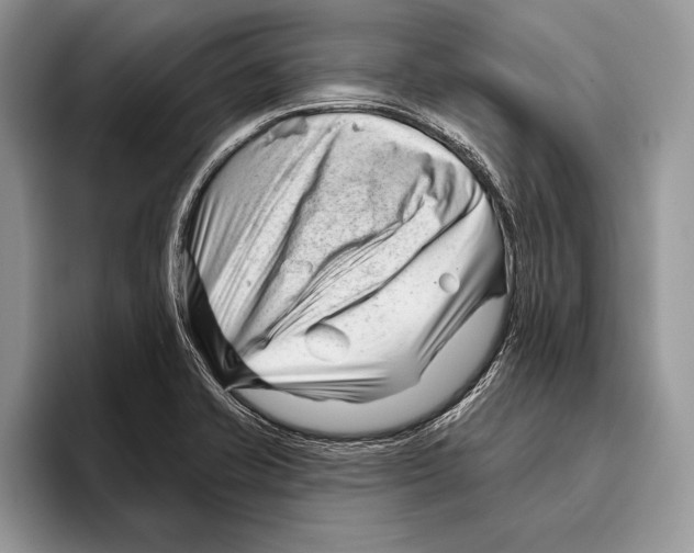 X0000095961421200802081308