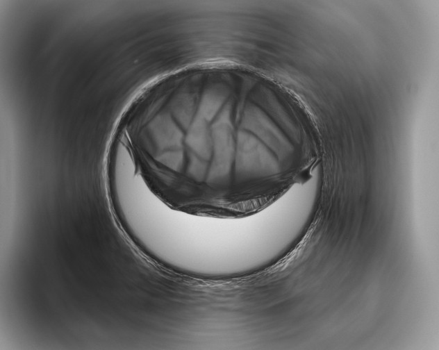 X0000095961422200802081308