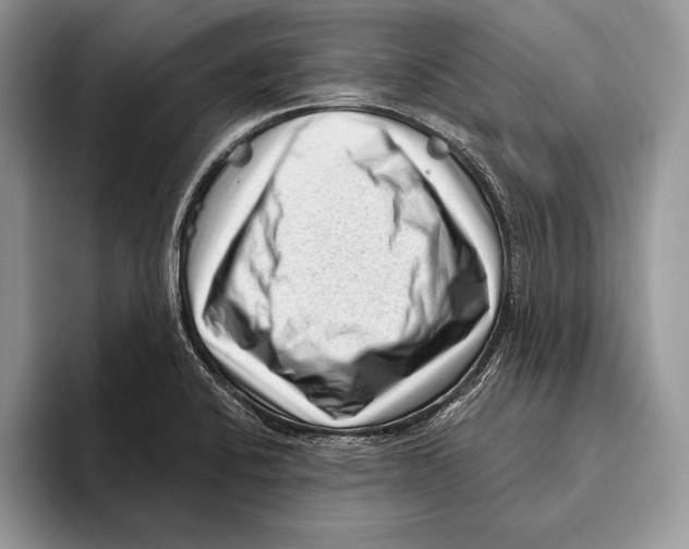 X0000095961424200802081308