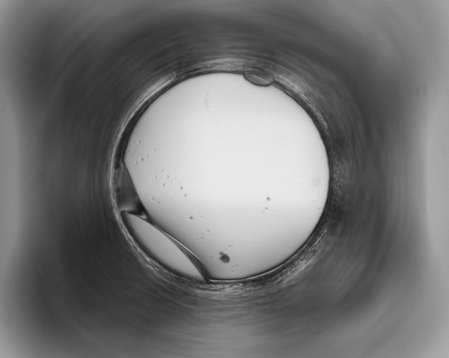 X0000095961426200802081308