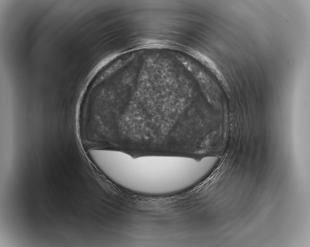 X0000095961427200802081308