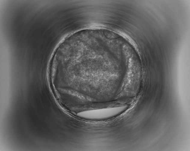 X0000095961429200802081308