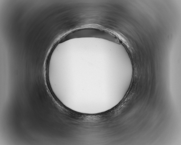 X0000095961430200802081308