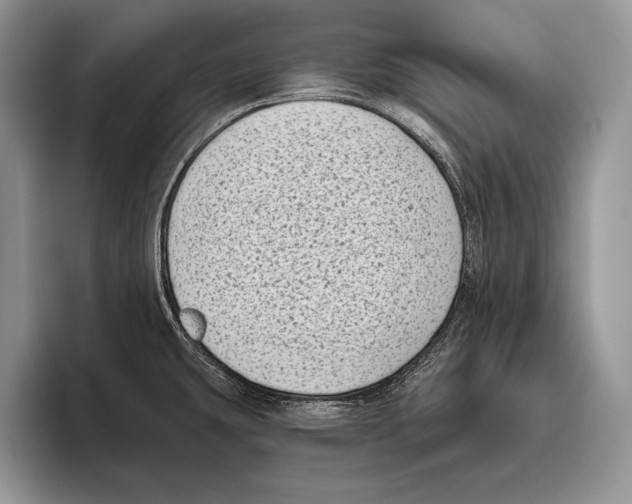 X0000095961431200802081308