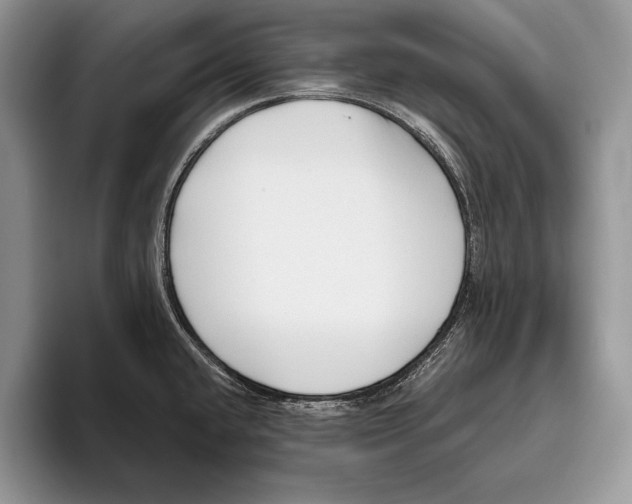 X0000095961432200802081308