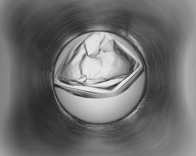 X0000095961433200802081308