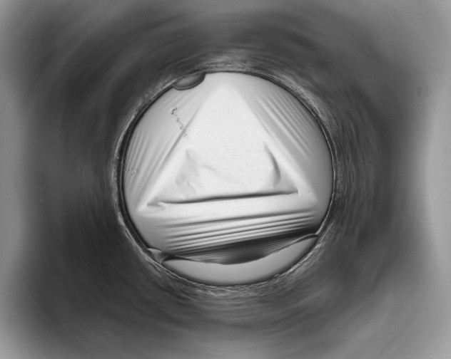 X0000095961434200802081308