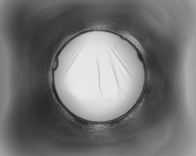 X0000095961436200802081308