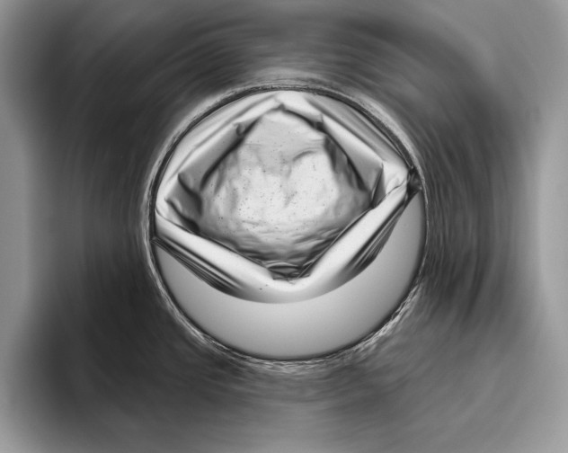 X0000095961437200802081308