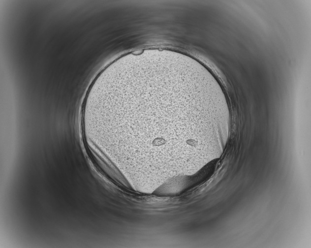 X0000095961439200802081308