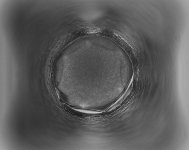 X0000095961441200802081308