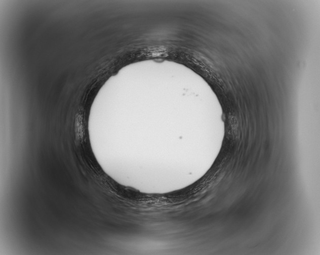 X0000095961442200802081308