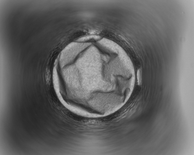 X0000095961443200802081308