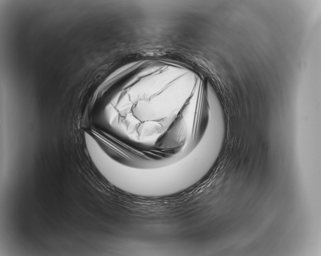 X0000095961444200802081308