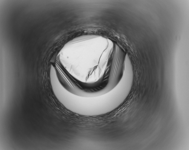 X0000095961445200802081308