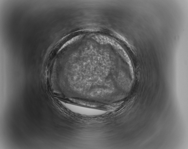 X0000095961448200802081308