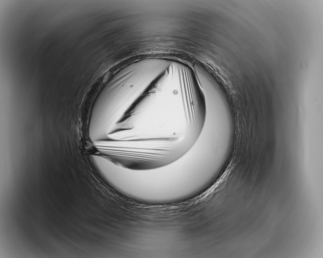 X0000095961449200802081308