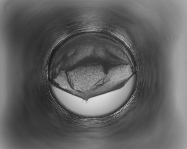 X0000095961450200802081308