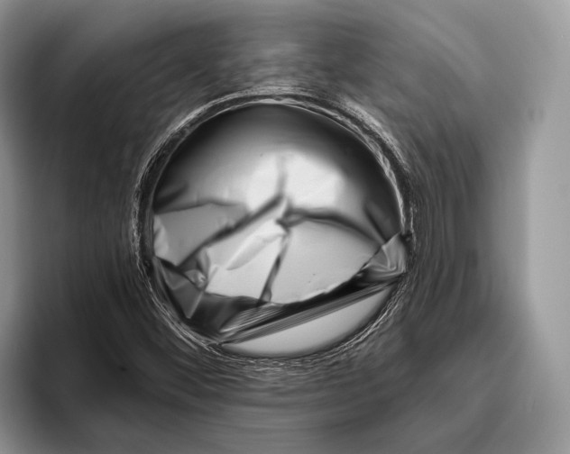 X0000095961452200802081308