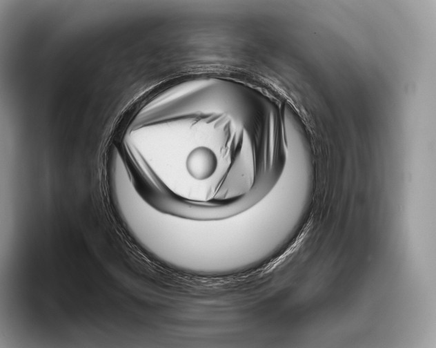 X0000095961453200802081308