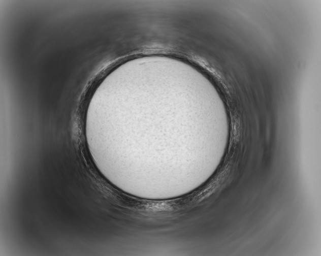 X0000095961454200802081308