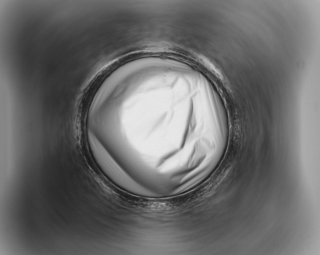 X0000095961456200802081308