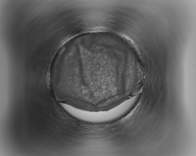 X0000095961457200802081308