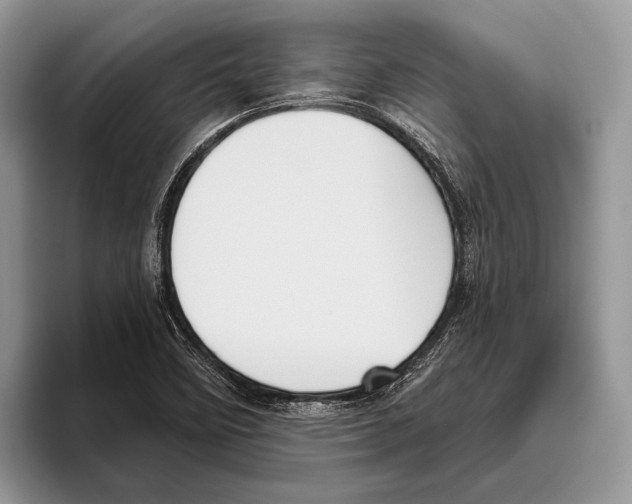 X0000095961458200802081308