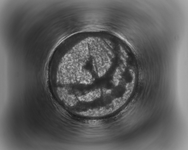 X0000095961459200802081308