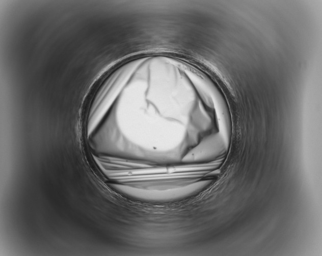 X0000095961460200802081308