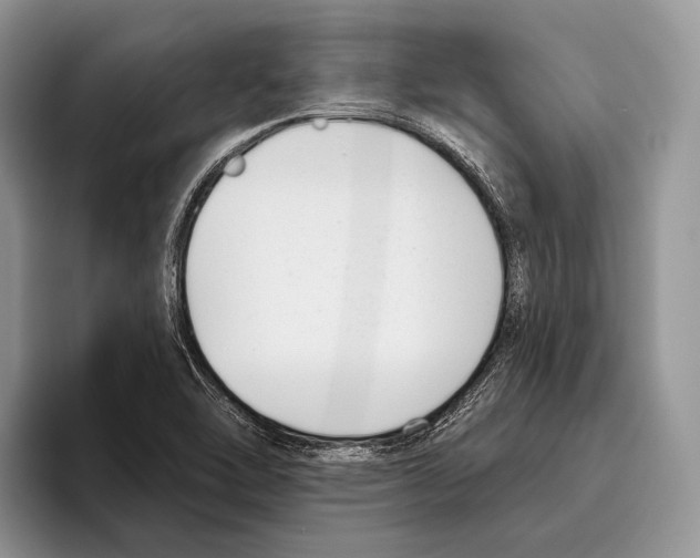 X0000095961462200802081308