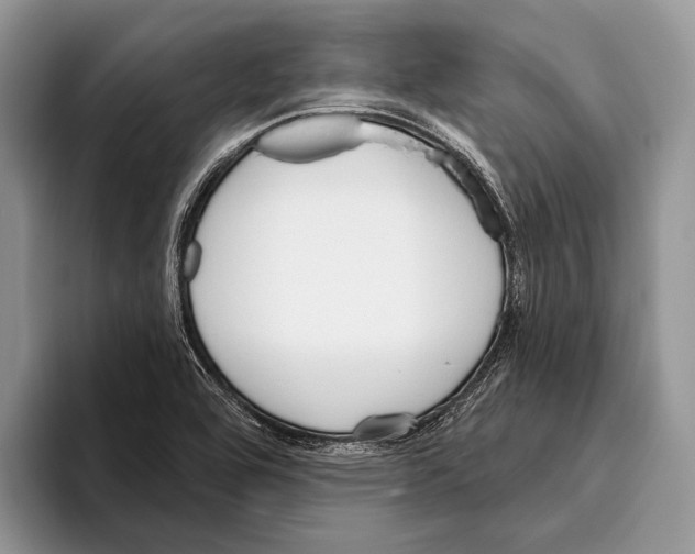 X0000095961464200802081308