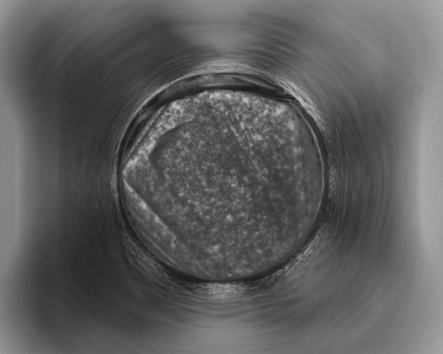 X0000095961465200802081308