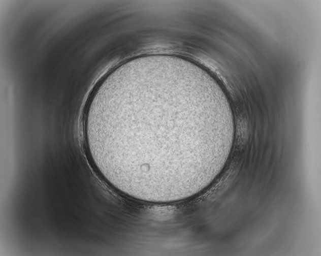 X0000095961466200802081307