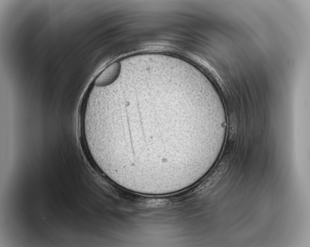 X0000095961467200802081307